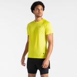 Neon Spring