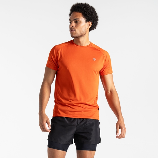 Men's Accelerate Fitness T-Shirt Cinnamon