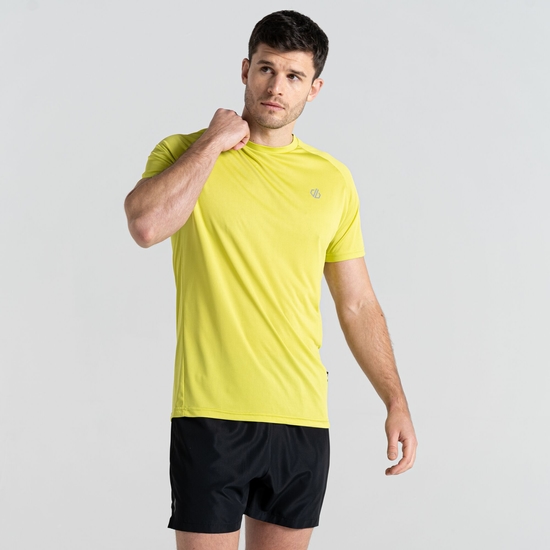 Men's Accelerate Fitness T-Shirt Green Algae