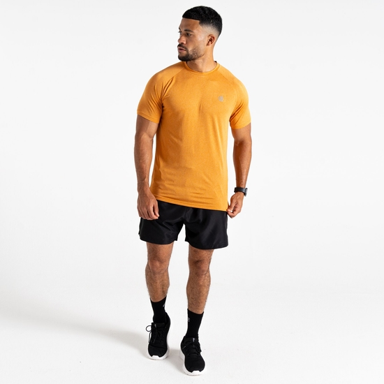 Men's Accelerate Fitness T-Shirt Buckskin