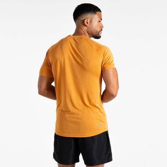 Men's Accelerate Fitness T-Shirt Buckskin