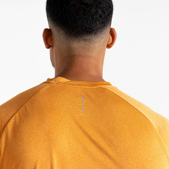 Men's Accelerate Fitness T-Shirt Buckskin