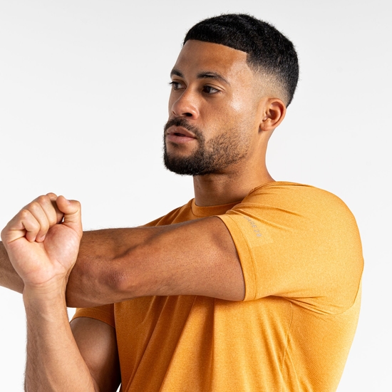 Men's Accelerate Fitness T-Shirt Buckskin