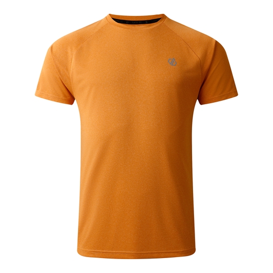 Men's Accelerate Fitness T-Shirt Buckskin