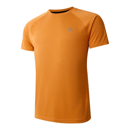 Men's Accelerate Fitness T-Shirt Buckskin