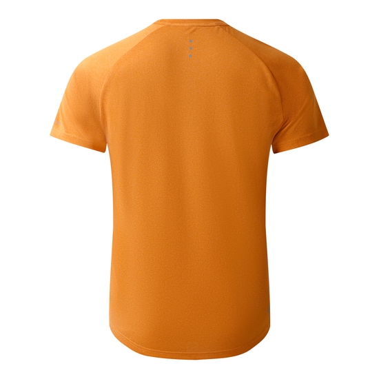 Men's Accelerate Fitness T-Shirt Buckskin