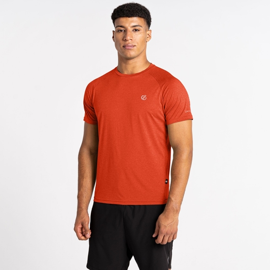 Men's Accelerate Fitness T-Shirt Roobios Tea Brown 
