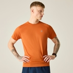 Burnt Orange