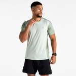 Aqua Grey & Hedge Green 