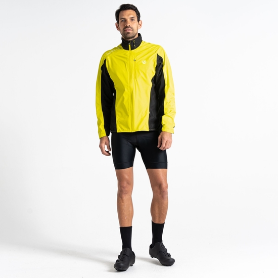 Men's Mediant II Jacket Neon Spring Black