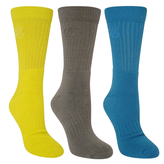 Adult's Essentials Sports Socks 2 Pack Fjord Blue