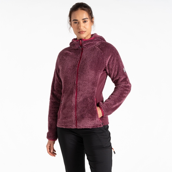 Women's The Mountain Series Pro Midlayer Fig Purple