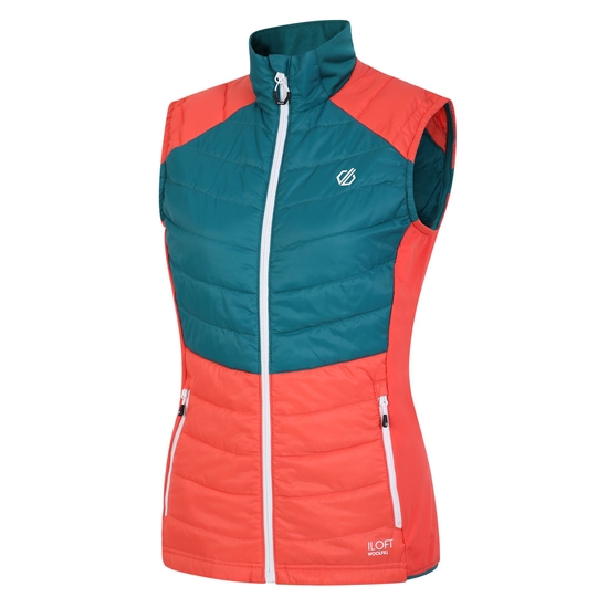 Women's Culmination Wool Padded Vest Fortune Green Neon Peach