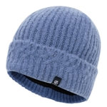 Bleuet