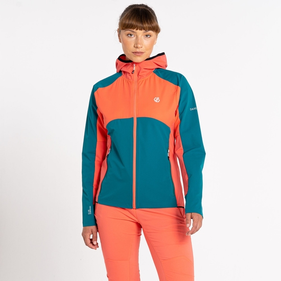 Women's Avidly Hooded Softshell Jacket Fortune Green Neon Peach