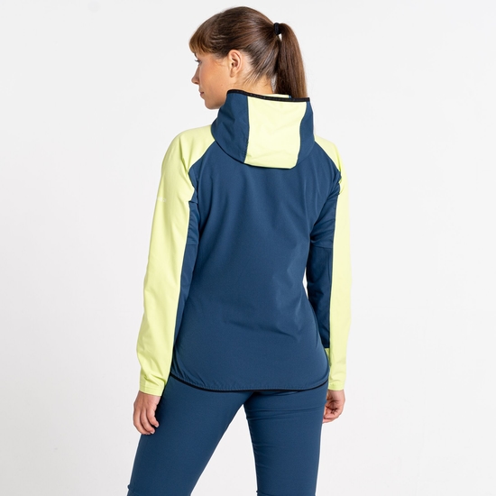 Veste à capuche Femme Softshell Avidly Vert Bleu
