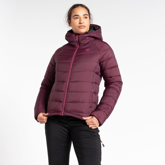 Women's Torrek Mountain Baffled Jacket Fig Purple