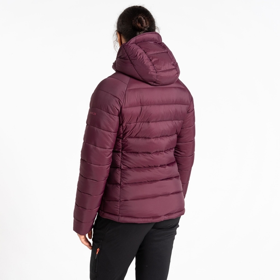 Women's Torrek Mountain Baffled Jacket Fig Purple