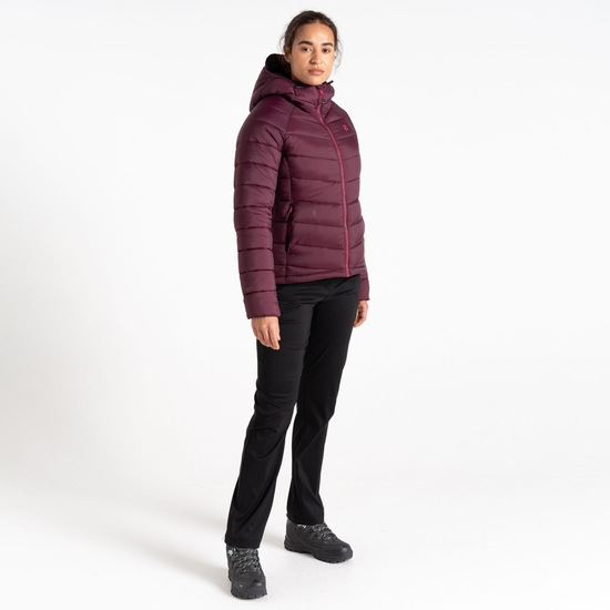 Women's Torrek Mountain Baffled Jacket Fig Purple