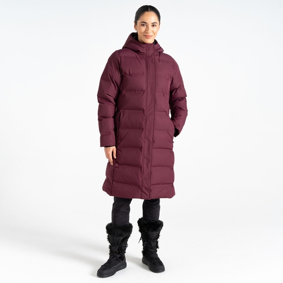 Women's Wander Padded Jacket Fig Purple
