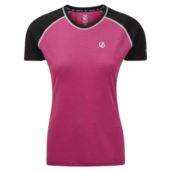 Women's Fixate Wool T-Shirt Active Pink Black 