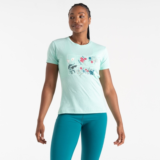 Women's Tranquility II T-Shirt Mint Green