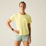 Wax Yellow