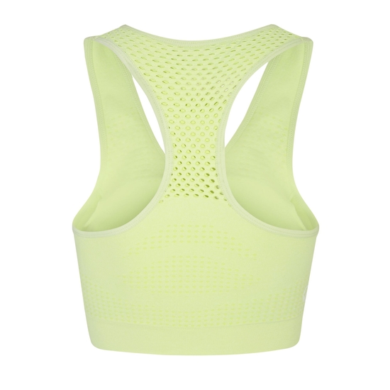Women's Don't Sweat It II Sports Bra Sharp Green