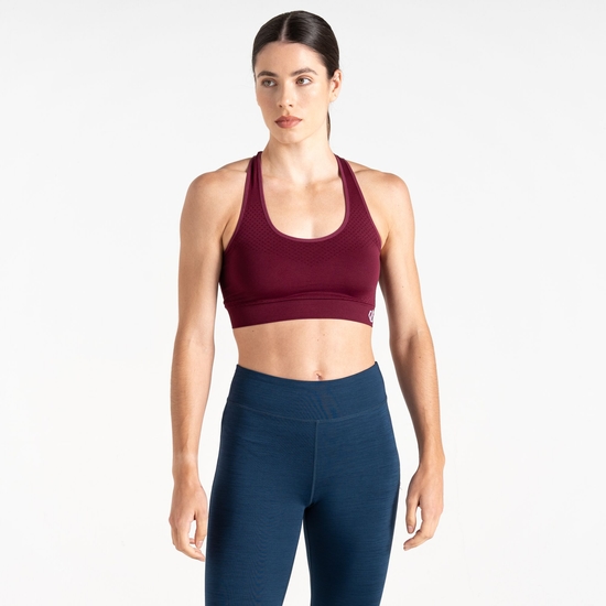Women's Don't Sweat It II Sports Bra Fig Purple