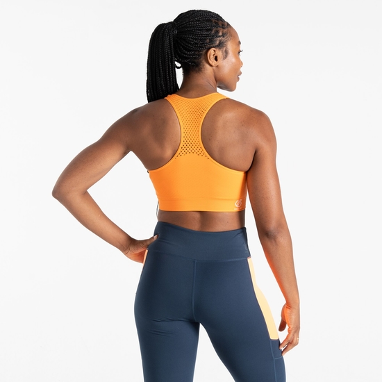 Women's Don't Sweat It II Sports Bra Live Wire Orange
