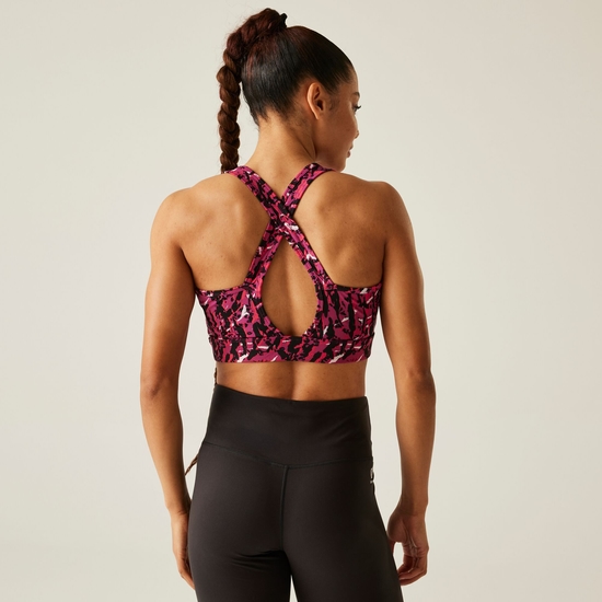 Women's Swift II Sports Bra Pink Wave Zebra Print