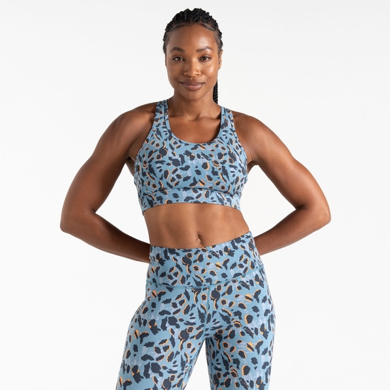 Women's Swift II Sports Bra Niagara Blue Animal Print