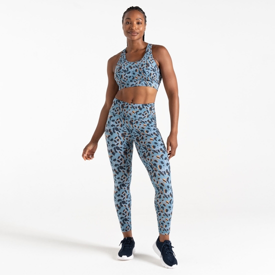 Women's Swift II Sports Bra Niagara Blue Animal Print