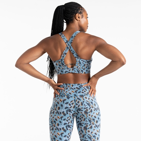 Women's Swift II Sports Bra Niagara Blue Animal Print