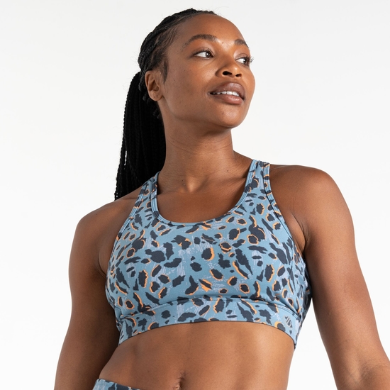 Women's Swift II Sports Bra Niagara Blue Animal Print
