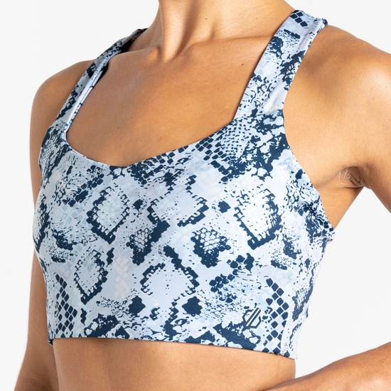 Women's Swift III Sports Bra Skyway Snake Print 