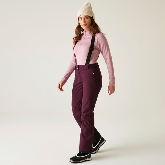 Women's Diminish Waterproof Ski Pants Fig