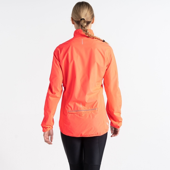 Women's Mediant II Waterproof Jacket Neon Pink