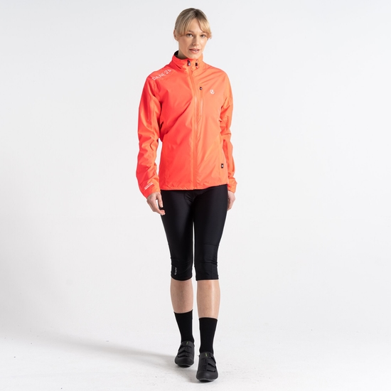 Women's Mediant II Waterproof Jacket Neon Pink