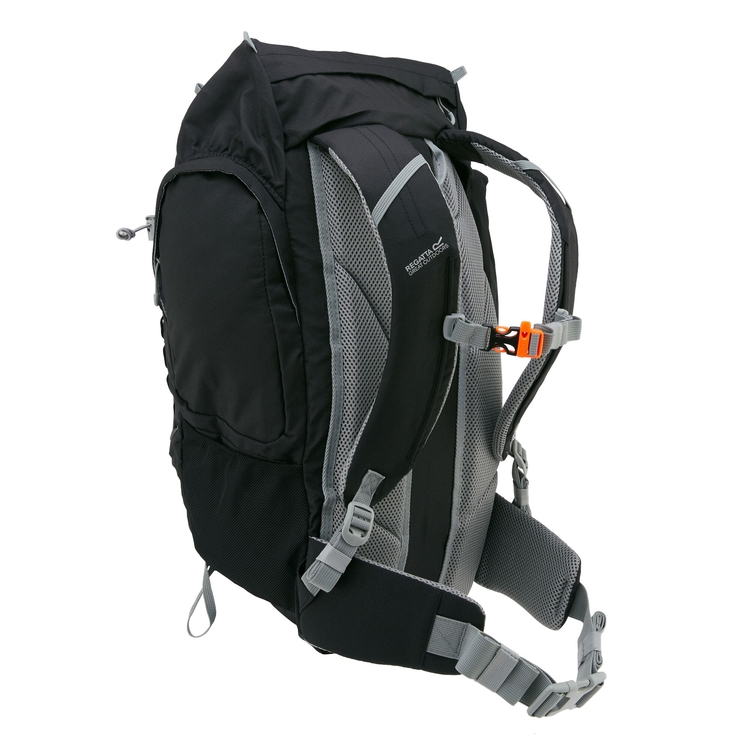 Regatta survivor 45 2025