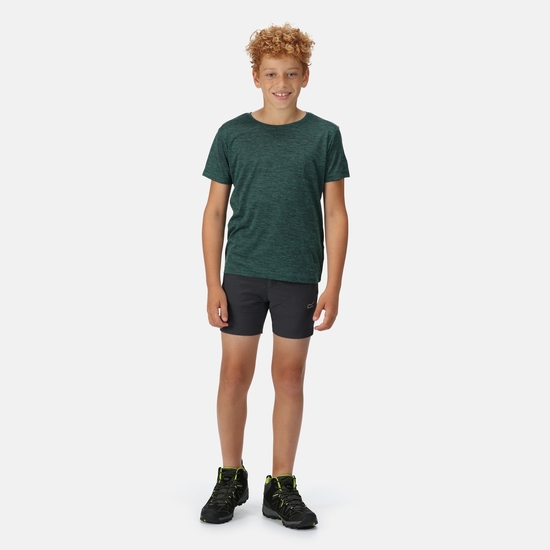Kids' Highton Walking Shorts India Grey