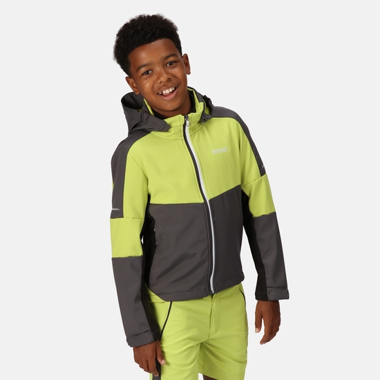Kids Acidity VI Lightweight Softshell Seal Grey Green Algea Regatta UK