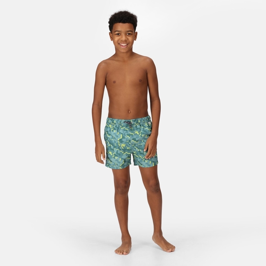 Short de bain Junior Garcon Skander Vert