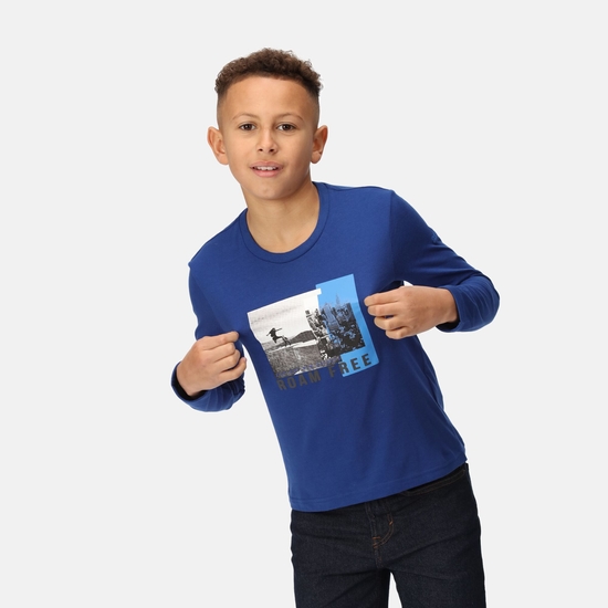 Kids' Wenbie III Graphic T-Shirt - New Royal | Regatta UK