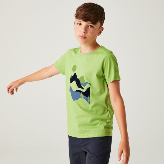 Kids' Bosley VII Graphic T-Shirt - Piquant Green | Regatta UK