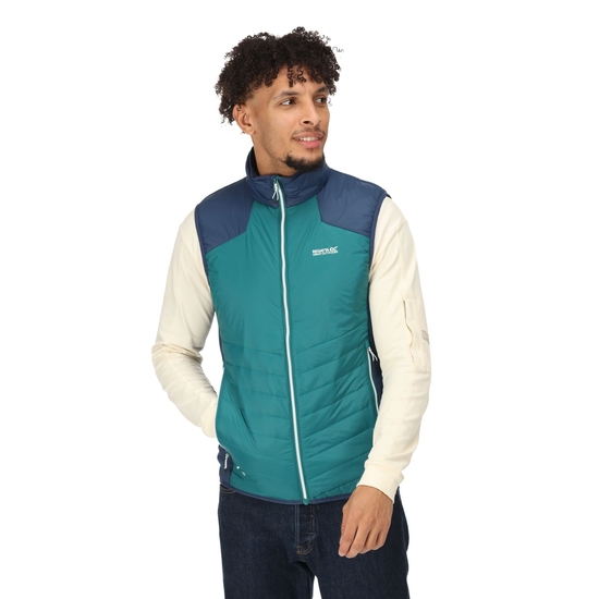 Regatta halton ii new arrivals