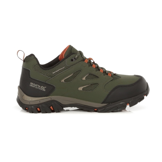 Men s Holcombe Waterproof Low Walking Shoes Bayleaf Burnt Umber Regatta UK