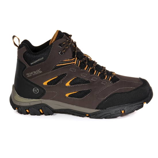 Regatta holcombe boots online