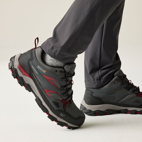 Buty męskie trekkingowe niskie z membraną Holcombe Low III Brązowy