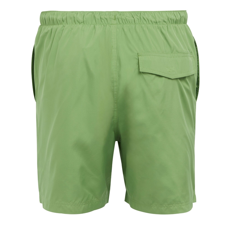 Men's Mackleyna Swim Shorts Piquant Green